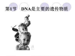 人教版高中生物课件：DNA是主要的遗传物质参赛课件.ppt