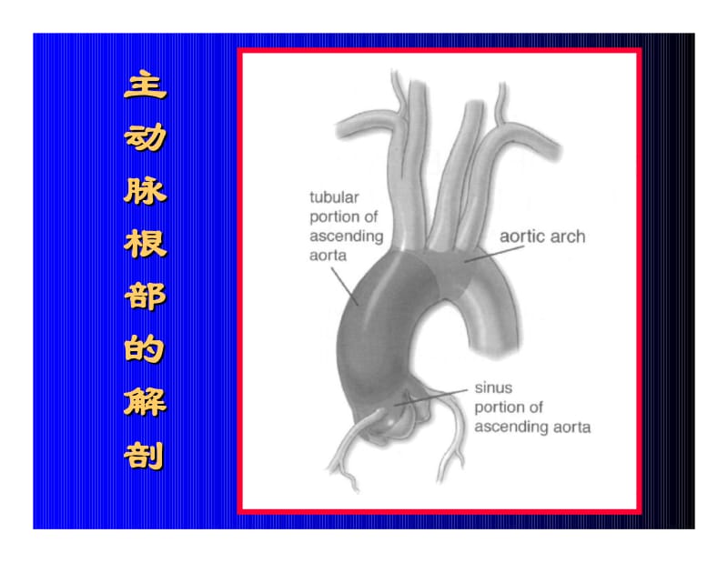 主动脉根部疾患的手术治疗.pdf_第2页