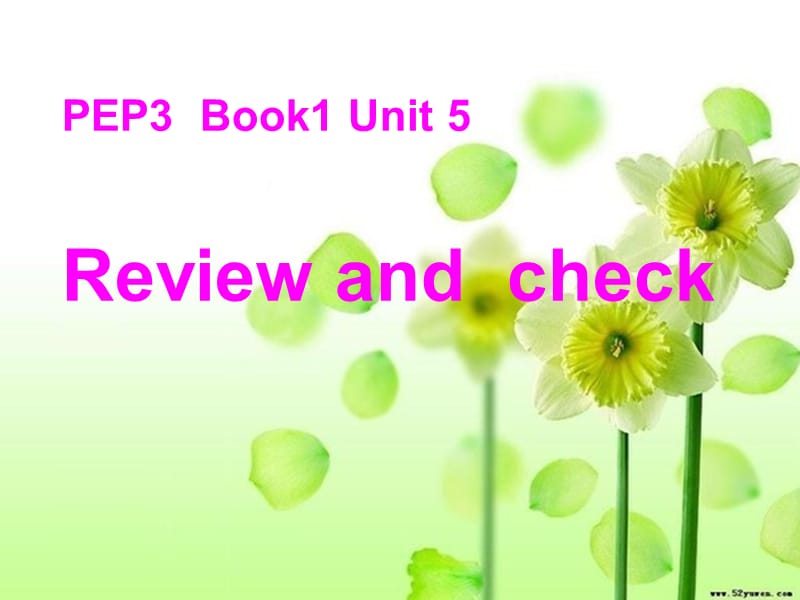 新课标PEP小学英语三年级上册《Unit 5 Review and check》课件.ppt_第1页