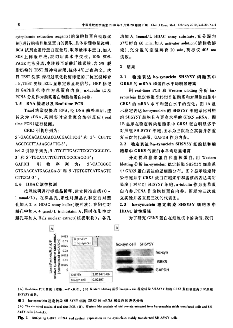 G蛋白偶联受体激酶5在稳定表达α-SYNUCLEIN的SHSY5Y细胞中的基因表达调控功能.pdf_第3页