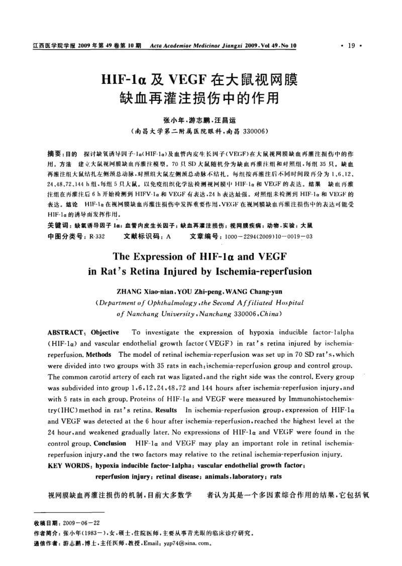 HIF-1α及VEGF在大鼠视网膜缺血再灌注损伤中的作用.pdf_第1页