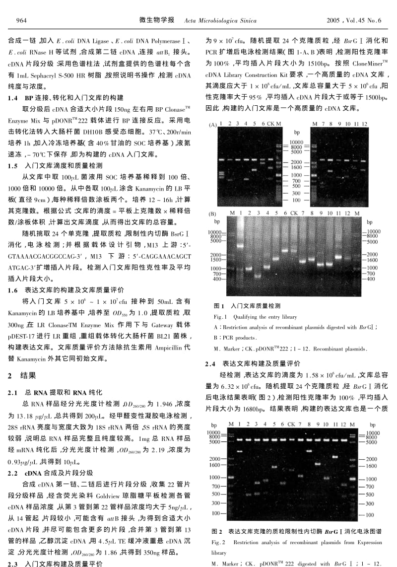 GATEWAYR技术构建交链孢菌JH505 CDNA文库.pdf_第2页