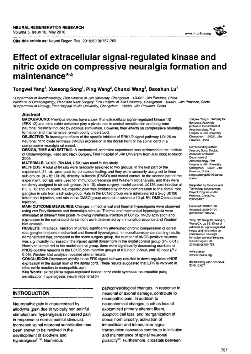 EFFECT OF EXTRACELLULAR SIGNALREGULATED KINASE AND NITRIC OXIDE ON COMPRESSIVE NEURALGIA FORMATION AND MAINTENANCE.pdf_第1页