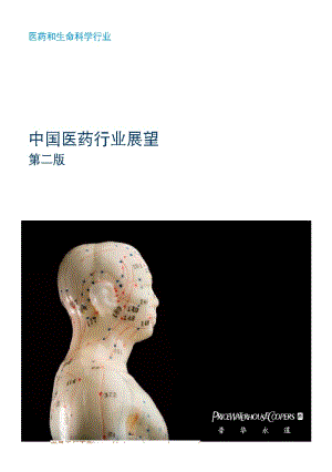 中国医药行业展望 第二版.pdf