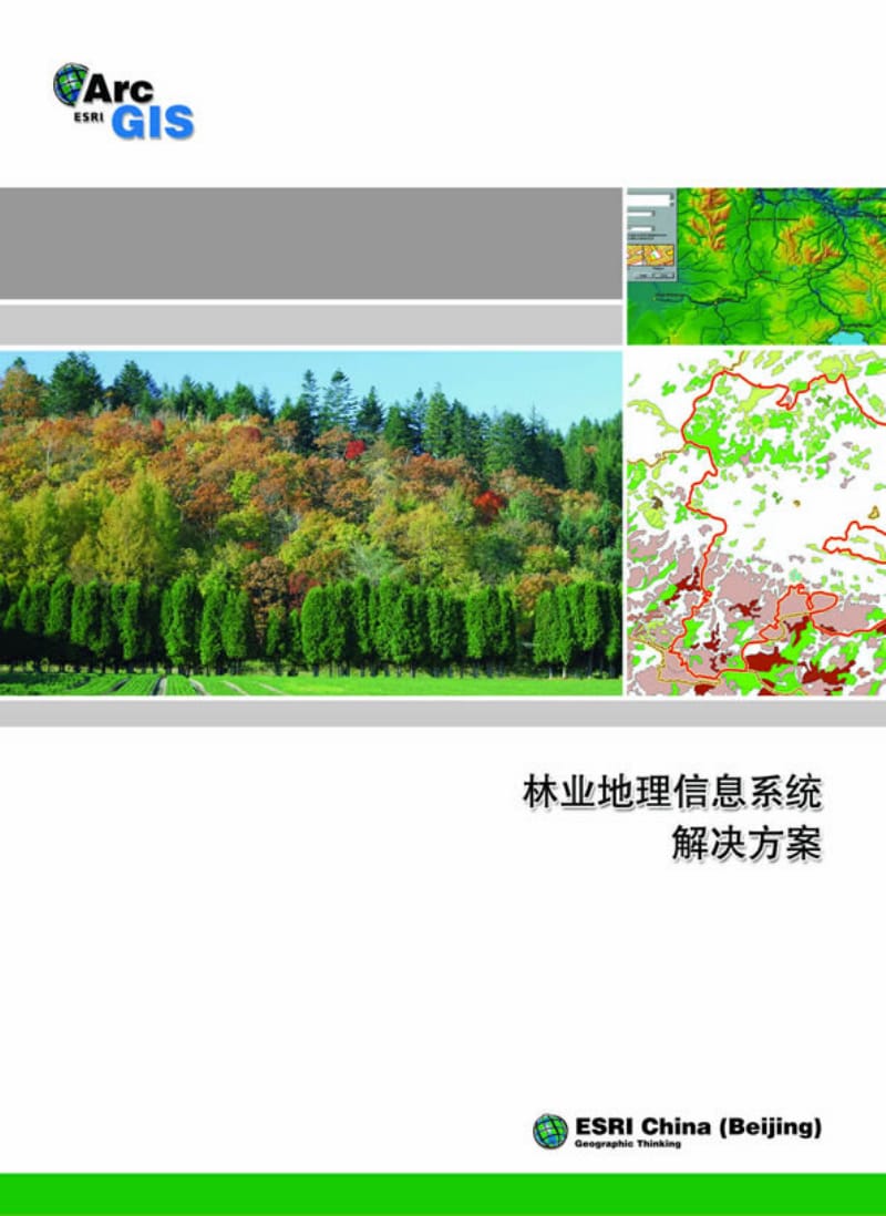 林业GIS解决方案.pdf_第1页