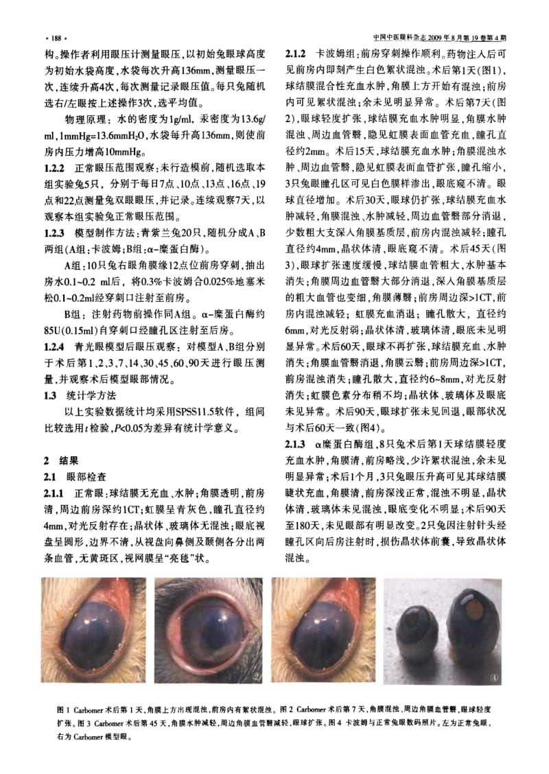 慢性高眼压兔模型的实验研究.pdf_第2页