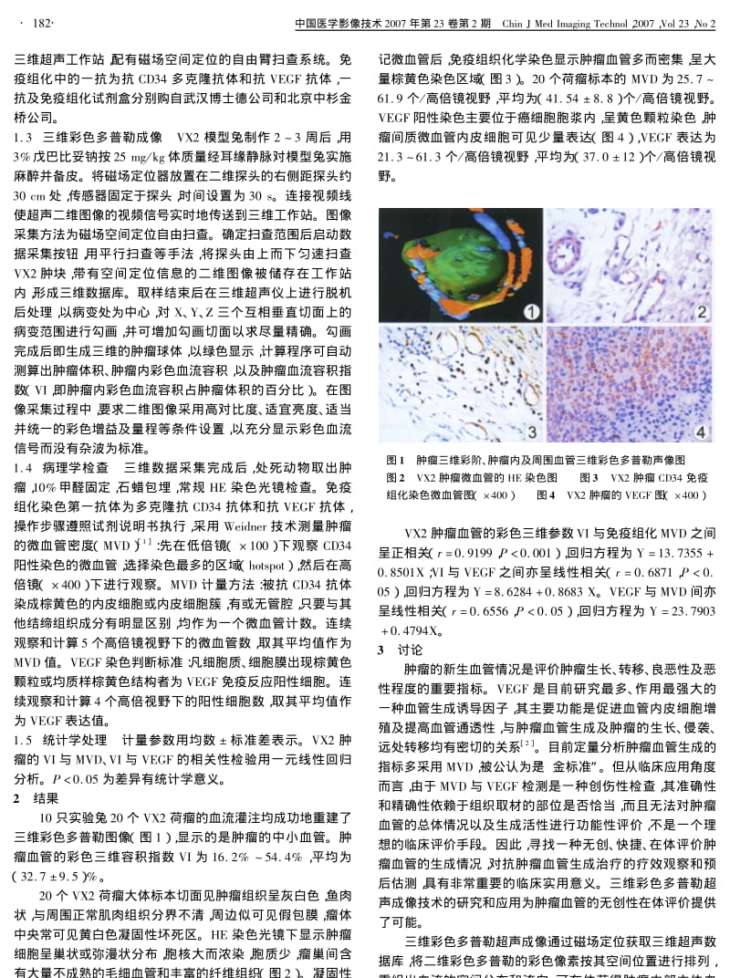兔VX2肿瘤的三维彩色多普勒超声成像与病理对照研究.pdf_第2页