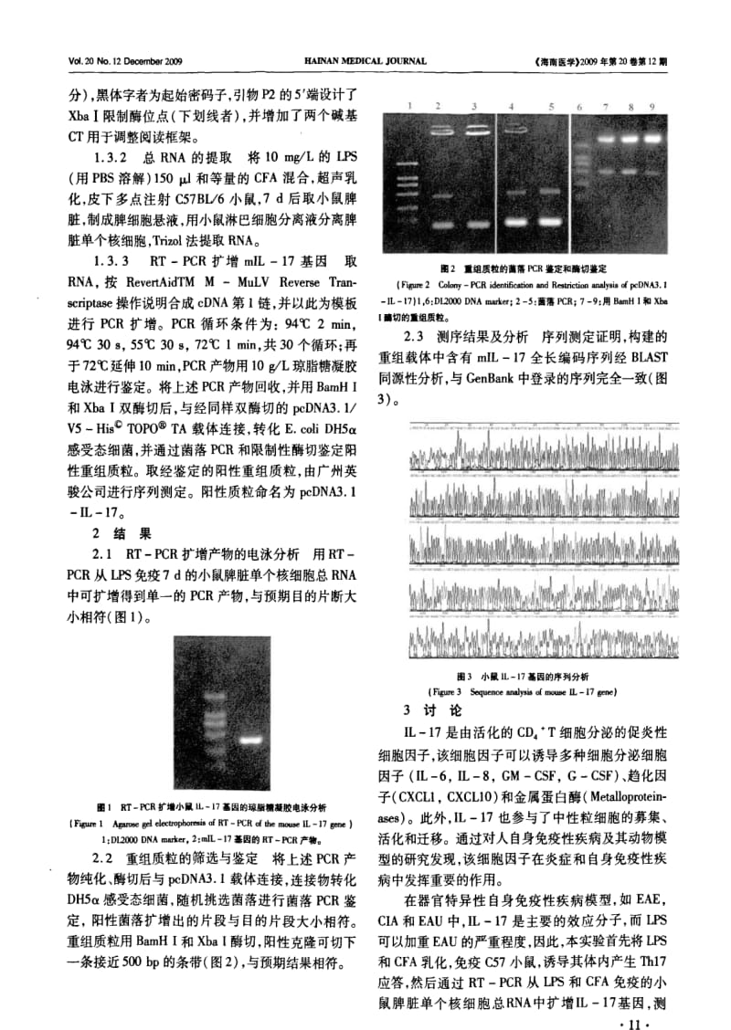 小鼠IL-17基因的克隆及其真核表达载体的构建.pdf_第2页
