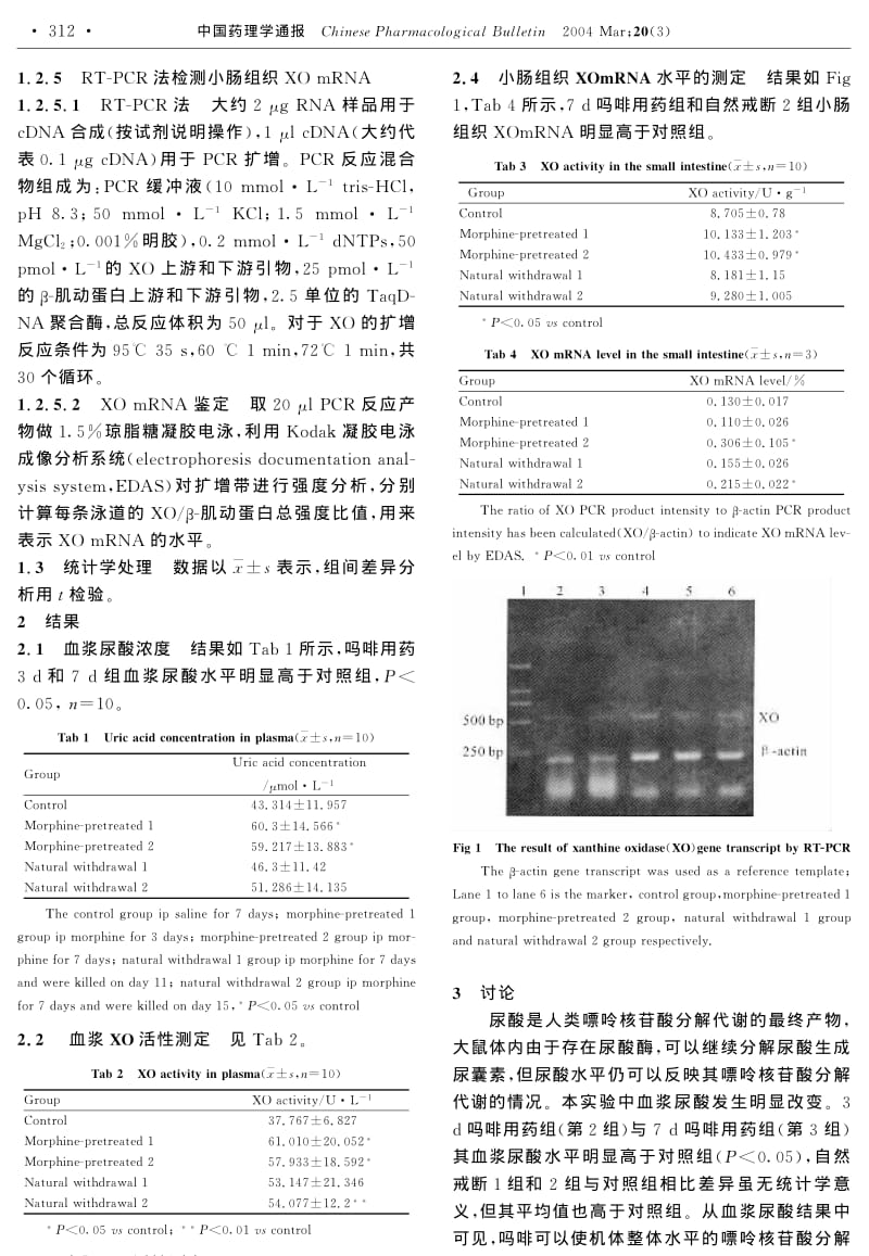 吗啡对大鼠嘌呤核苷酸分解代谢的促进作用及其可能的作用机制.pdf_第2页