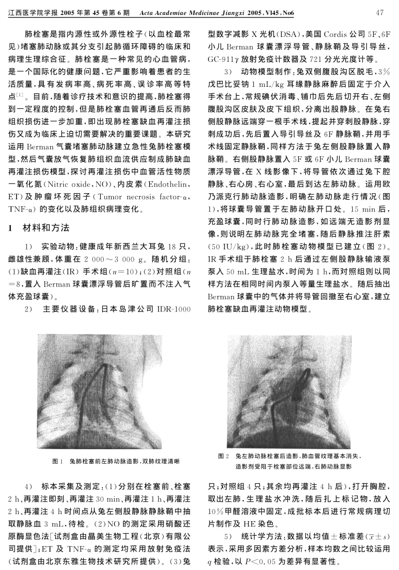 兔肺栓塞缺血再灌注损伤中血管活性物质的变化.pdf_第2页