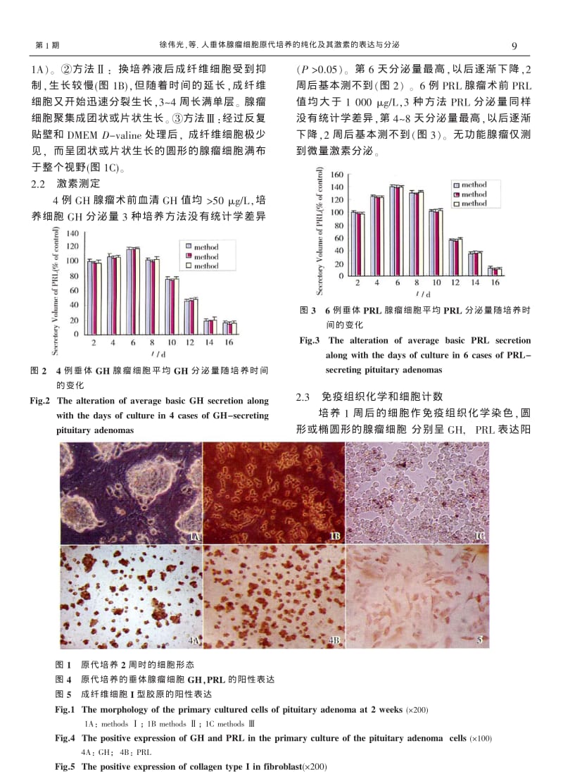 人垂体腺瘤细胞原代培养的纯化及其激素的表达与分泌.pdf_第3页