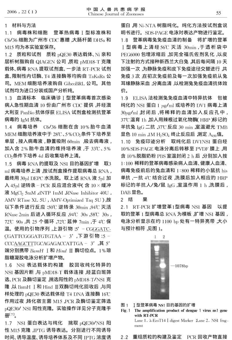 Ⅰ型登革病毒NS1基因克隆及其表达产物的免疫原性研究.pdf_第2页