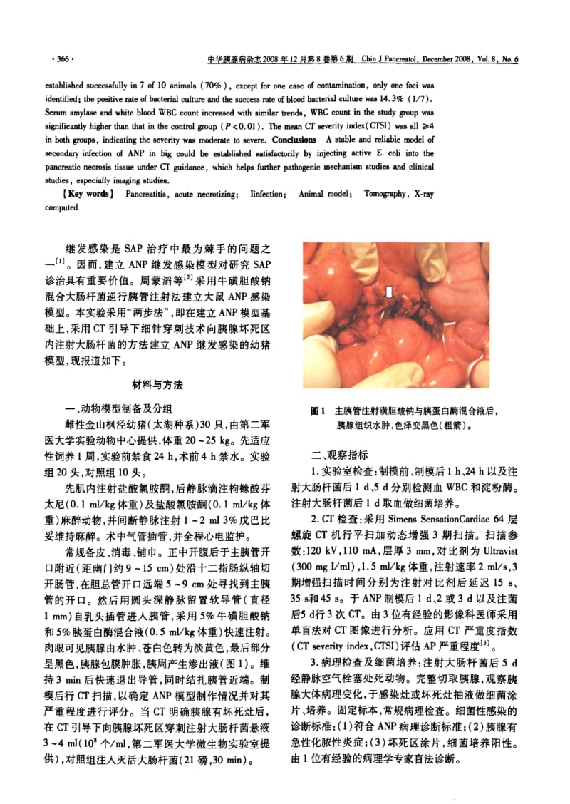 急性坏死性胰腺炎继发感染的幼猪模型建立.pdf_第2页