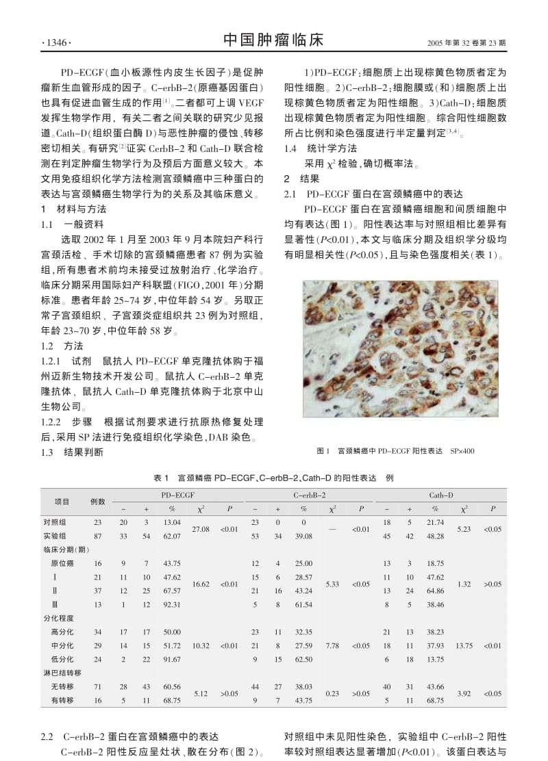 宫颈鳞癌组织中PDECGF CERBB2 CATHD的表达及临床意义.pdf_第2页