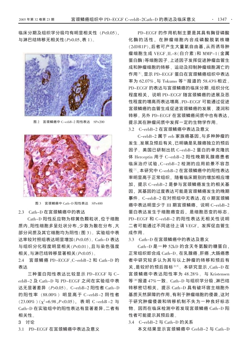 宫颈鳞癌组织中PDECGF CERBB2 CATHD的表达及临床意义.pdf_第3页