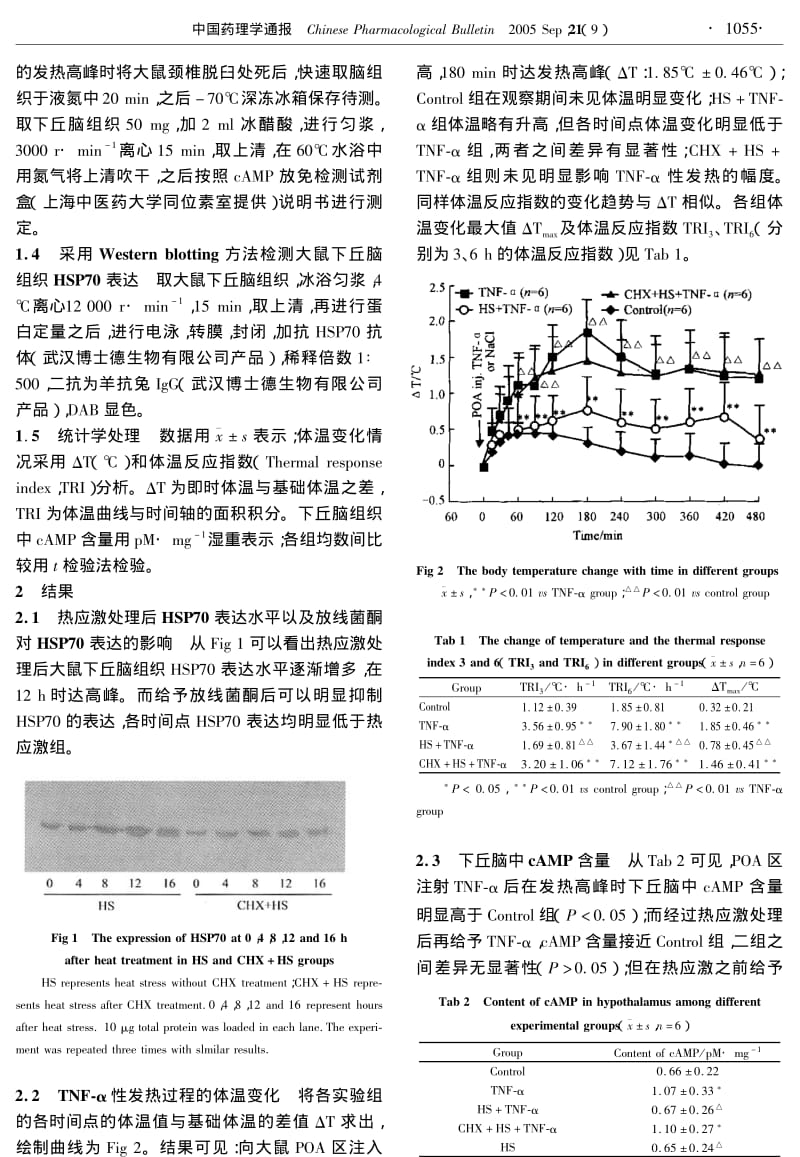 热应激对大鼠TNF-α性发热及下丘脑中CAMP含量的影响.pdf_第2页