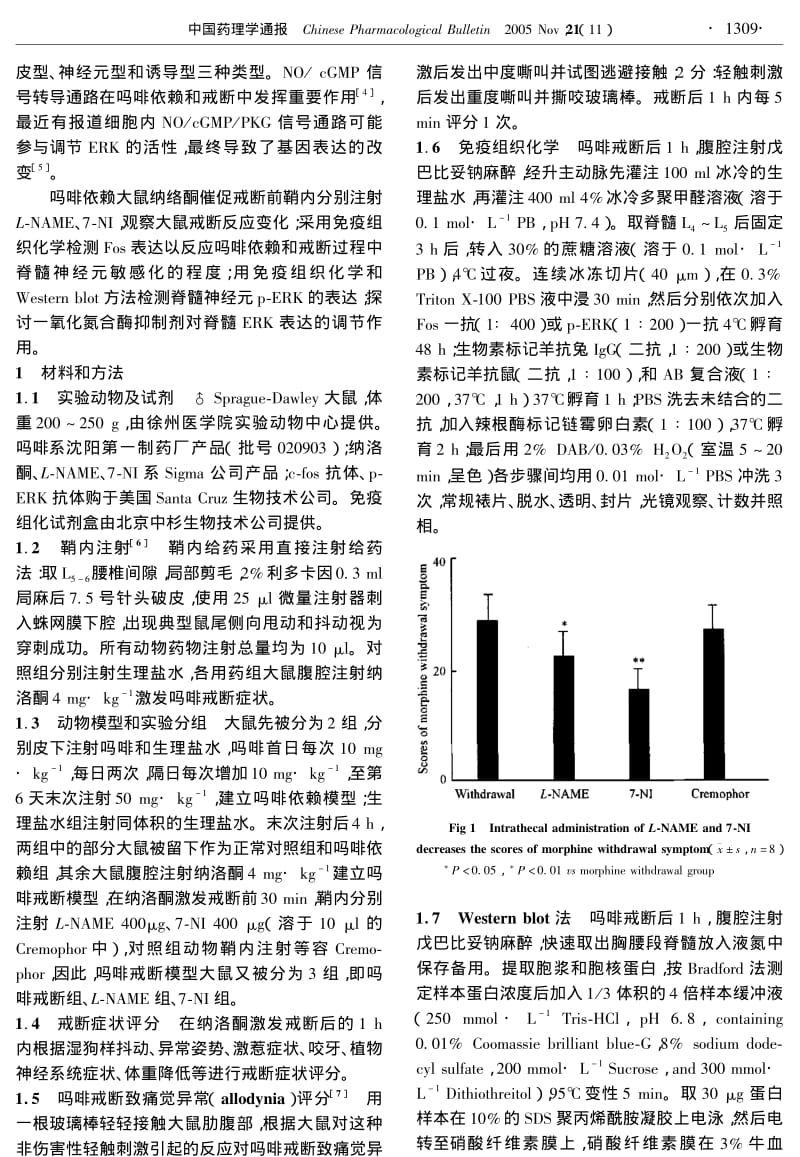 一氧化氮合酶抑制剂抑制吗啡依赖及戒断大鼠脊髓神经元ERK的表达.pdf_第2页