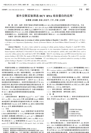 紫外交联实验筛选HCV RNA结合蛋白的应用.pdf