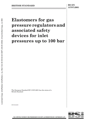 BS-EN-13787-2001.pdf