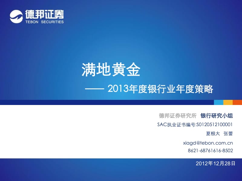 度银行业年度策略：满地黄金-2012-12-28.pdf_第1页