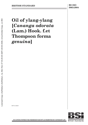 BS-ISO-3063-2004.pdf