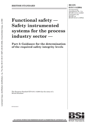 BS-EN-61511-3-2004.pdf