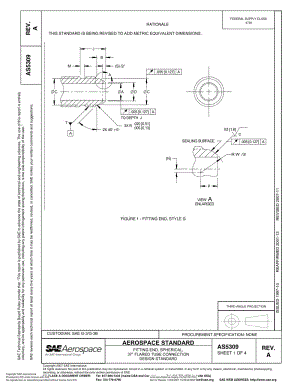 SAE-AS-5309A-2007.pdf