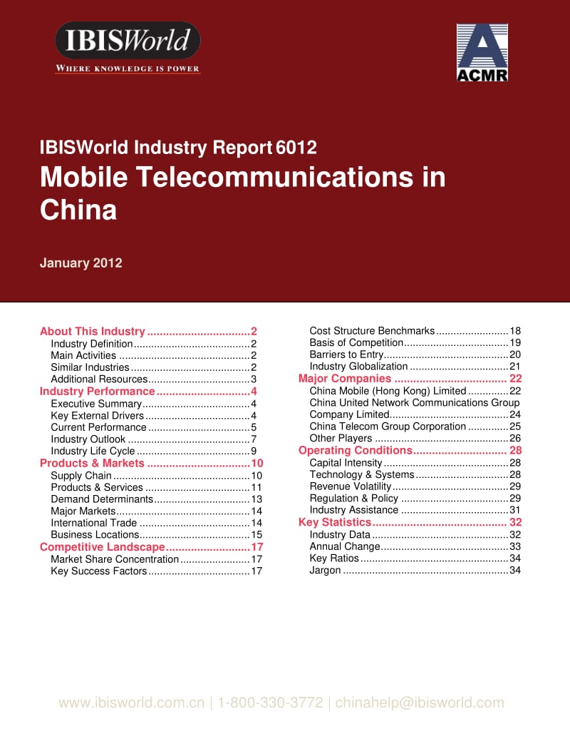 Mobile Telecommunications in China - Industry Report.pdf_第1页