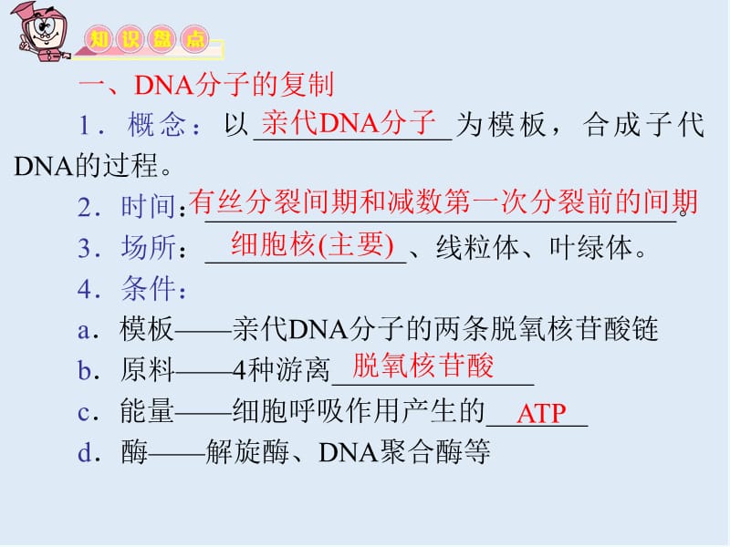 教学导航高三生物必修2复习课件：第16讲 DNA的复制和基因是有效遗传效应的DNA片段 .ppt_第3页