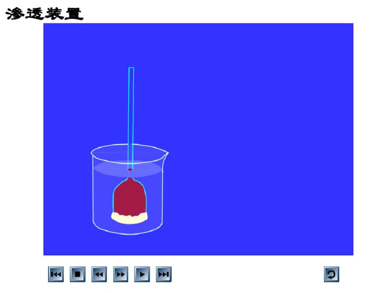 人教版生物必修一一轮复习《细胞代谢》.pdf_第3页