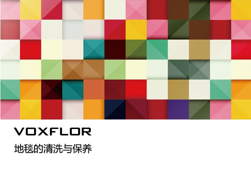 voxflor地毯清洗保养建议.ppt_第1页