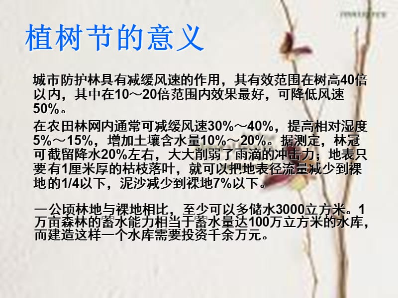 植树节主题班会PPT.ppt_第3页