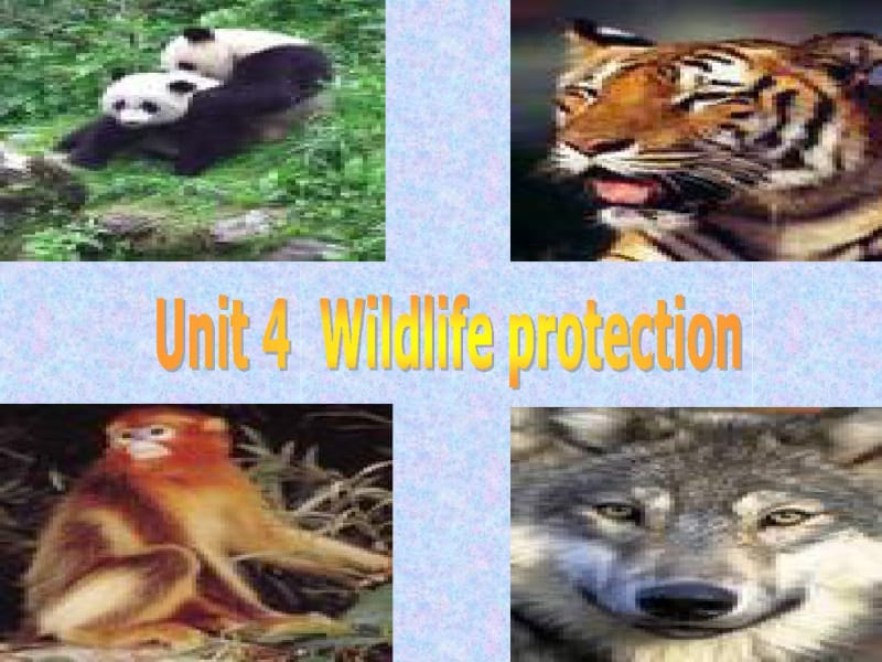 Wildlifeprotection.pdf_第2页