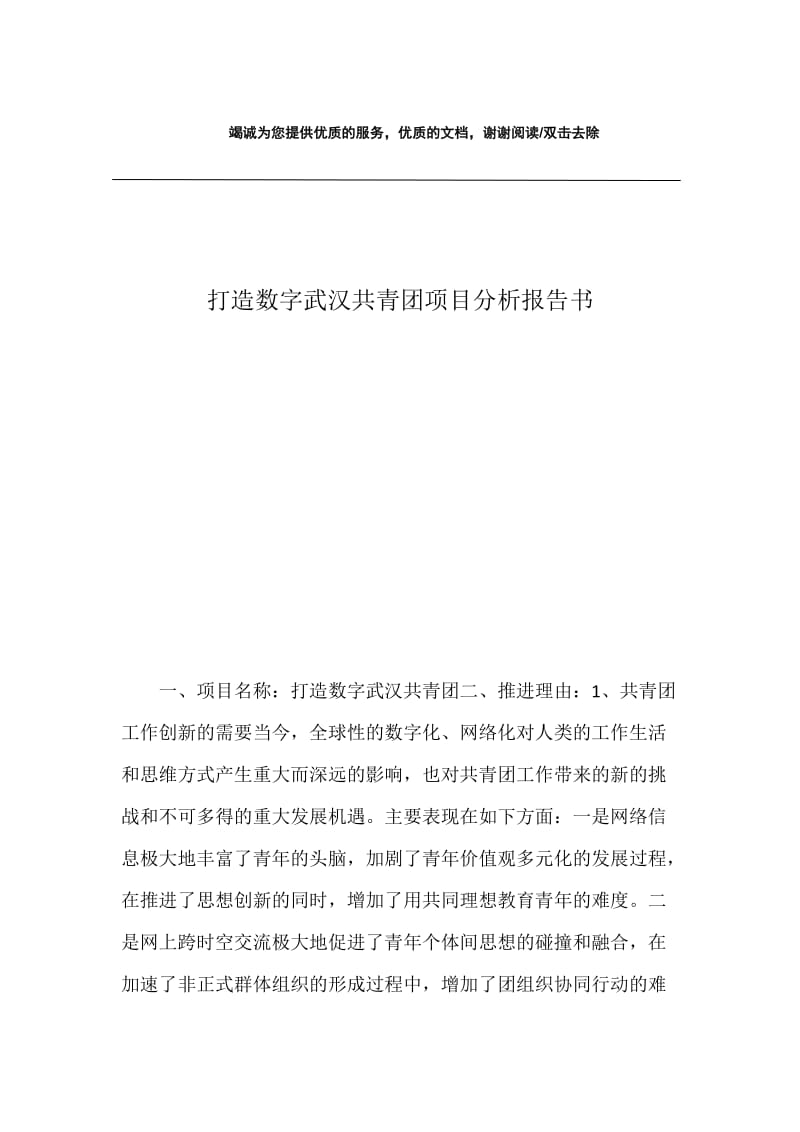 打造数字武汉共青团项目分析报告书.docx_第1页