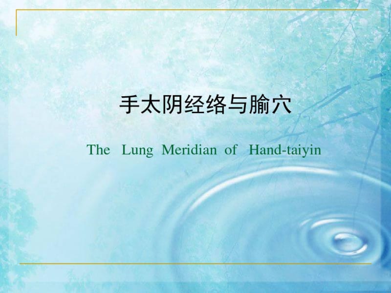 经络学-手太阴肺经.pdf_第1页