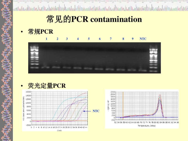 PCR污染的产生及防治..pdf_第3页