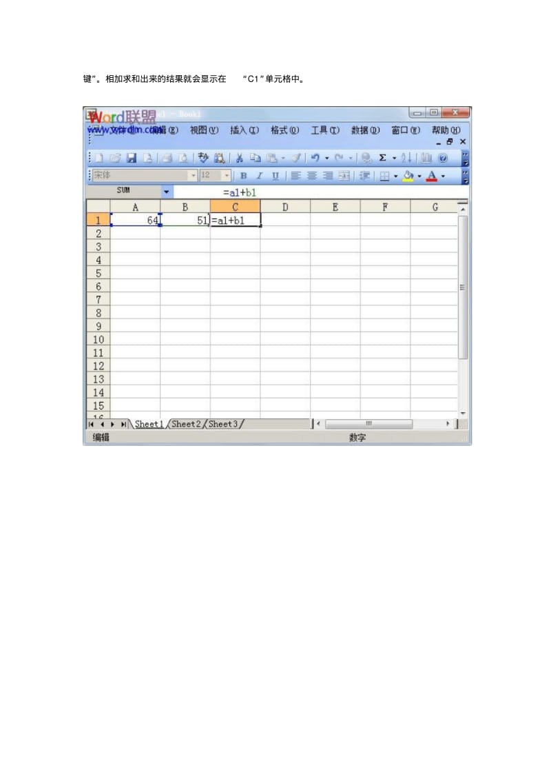Excel求和_Excel表格自动求和公式及批量求和.pdf_第2页