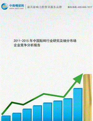 -中国贴砖行业研究及细分市场企业竞争分析报告.doc