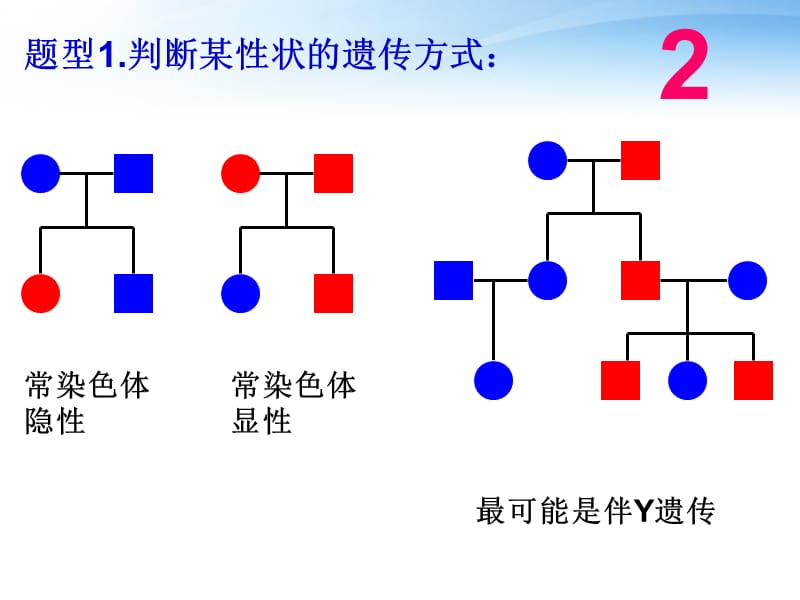 伴性遗传(方法判断).ppt_第3页