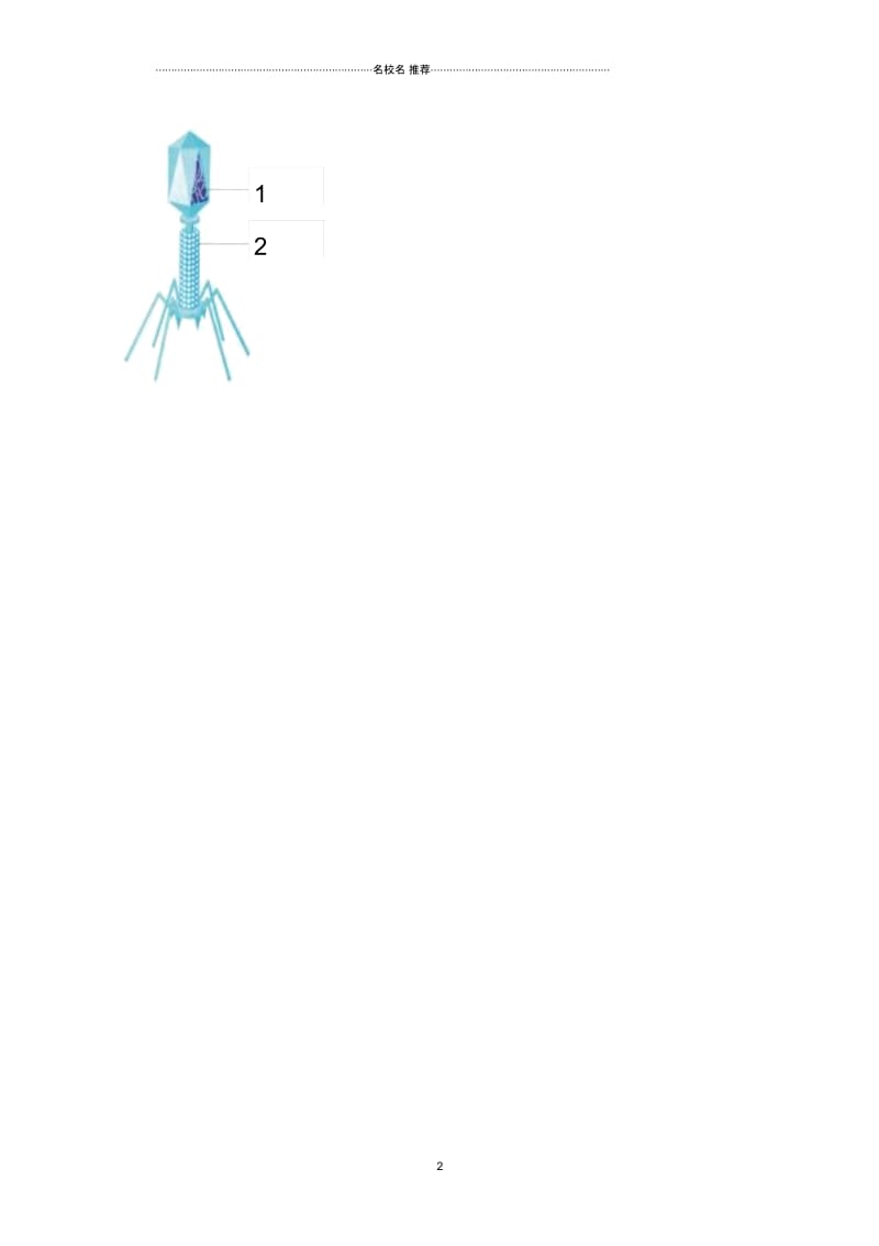 初中七年级生物上册2.3.1病毒练习(无答案)(新版)济南版.docx_第2页
