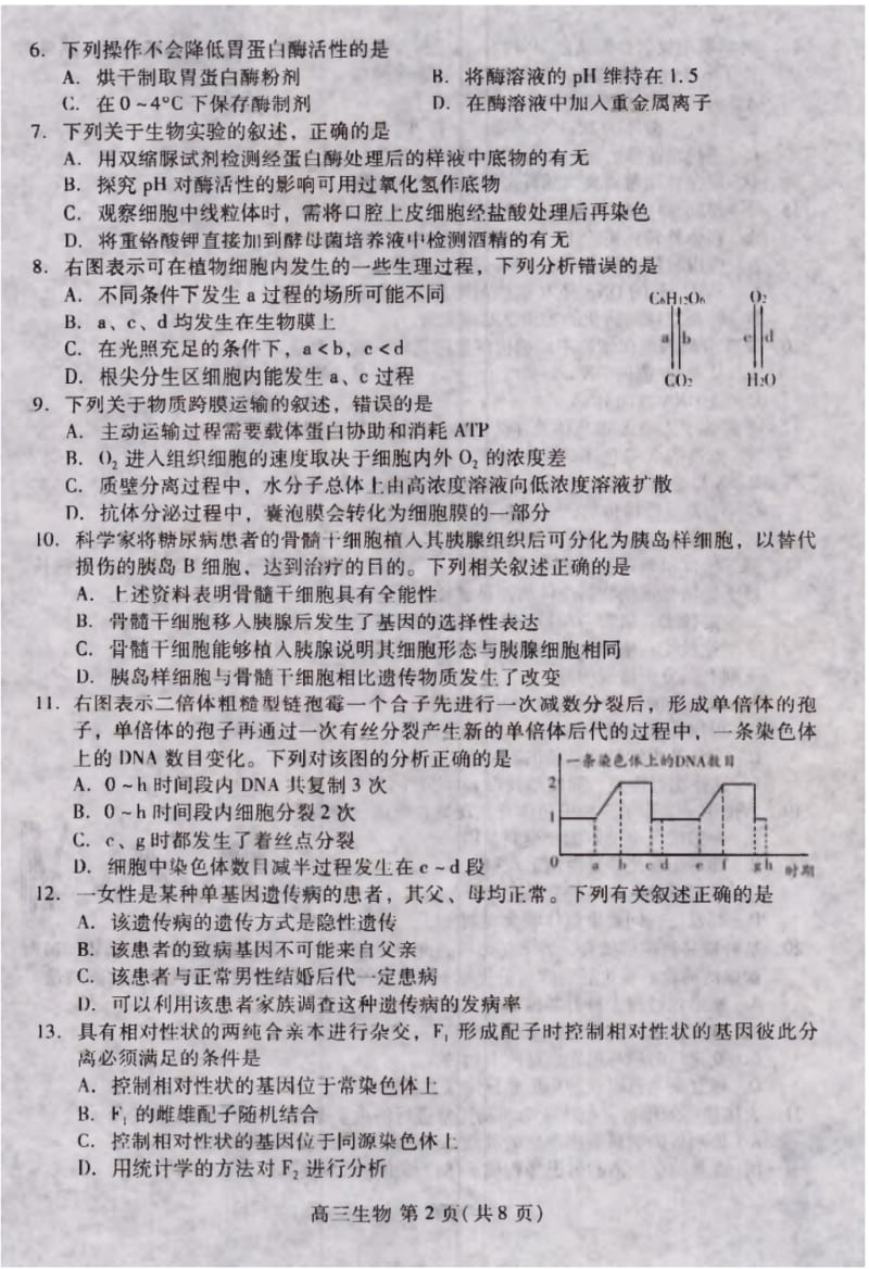 山东省潍坊市2017届高三上学期期末考试生物试题(版无答案).pdf_第2页