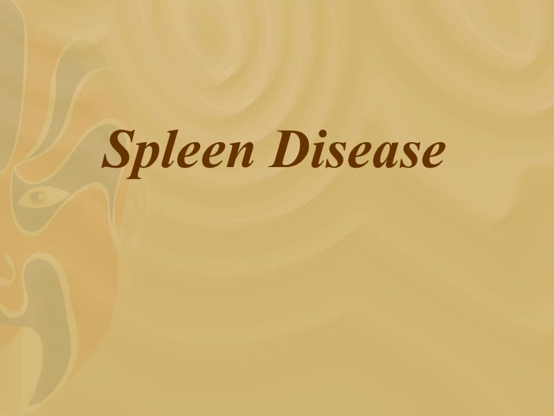 spleen disease.ppt_第1页