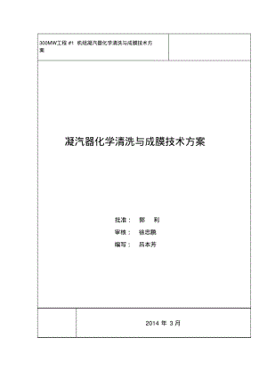 300MW机组凝汽器清洗方案资料.pdf