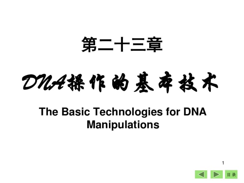 DNA操作的基本技术.pdf_第1页