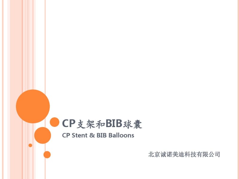 CP支架和BIB球囊资料.pdf_第1页