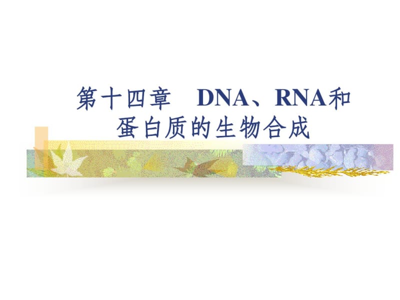 DNA、RNA和蛋白质的生物合成资料.pdf_第1页