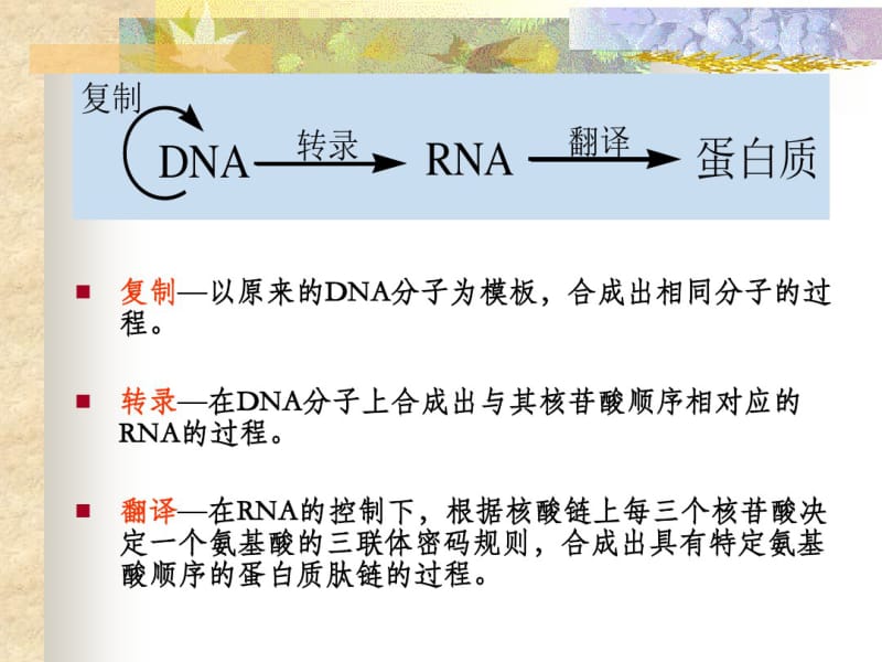 DNA、RNA和蛋白质的生物合成资料.pdf_第2页