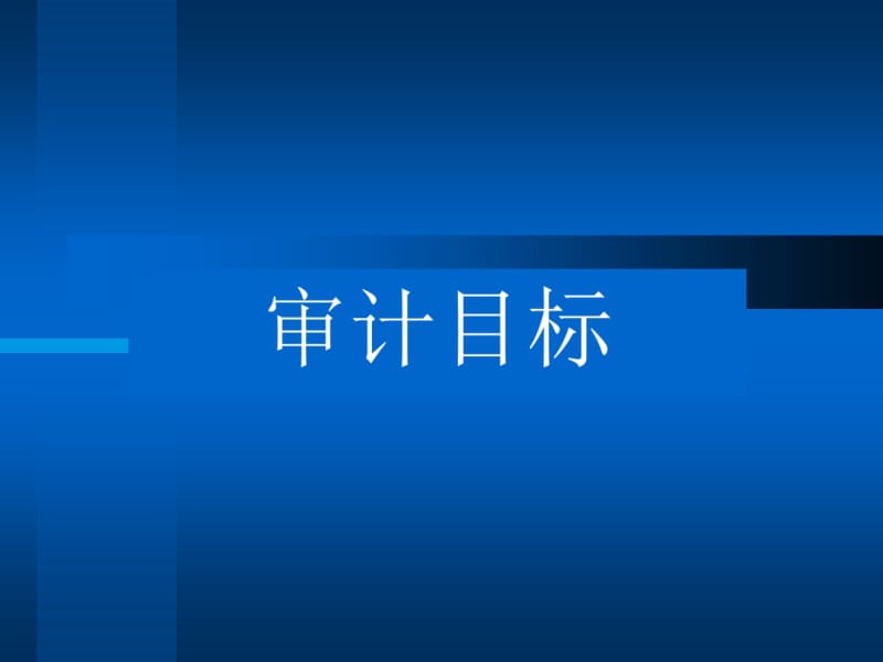 审计目标资料.pdf_第1页