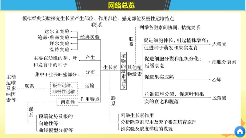 2019版高考生物专题八植物的激素调节构建知识网络补遗教材遗漏课件.pdf_第3页