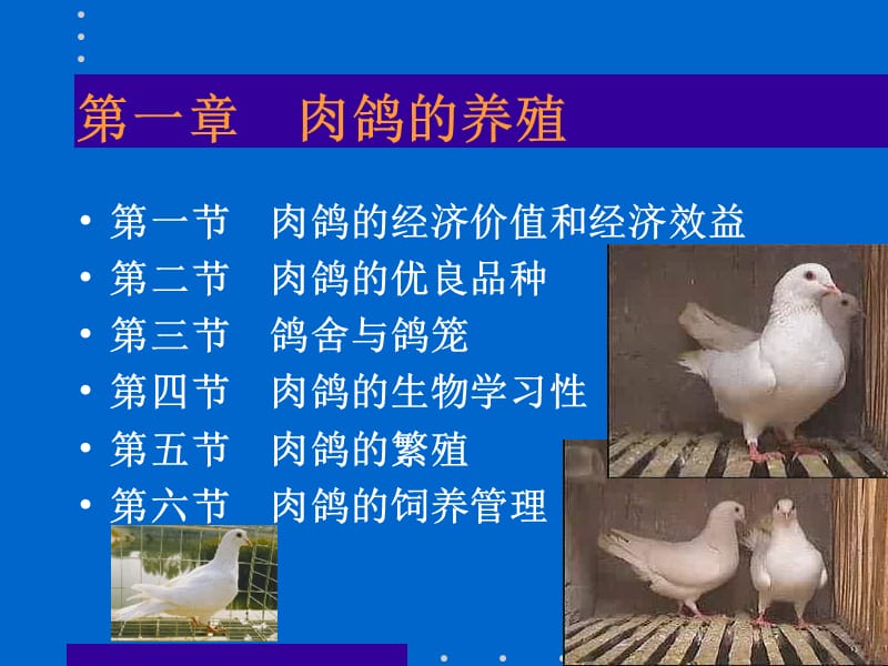 动物生产学(特种经济动物养殖)教学课件.ppt_第3页